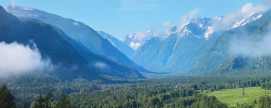 Altai dağlarında yaz, resimli panoramik manzara. Tepelerde kar, yeşil ormanlar, mavi gökyüzü..