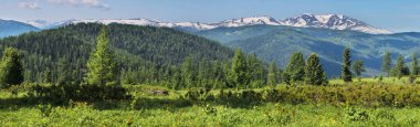 Geniş panoramik manzara, dağlarda yazın başlangıcı. Yeşil ormanlar ve çayırlar, karlı tepeler ve mavi gökyüzü. Altay Dağları.