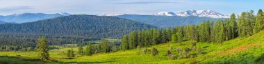 Geniş panoramik manzara, dağlarda yazın başlangıcı. Yeşil ormanlar ve çayırlar, karlı tepeler ve mavi gökyüzü. Altay Dağları.