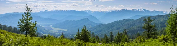 View Mountain Valley Pass Summer Greens Trees Morning Haze — Zdjęcie stockowe