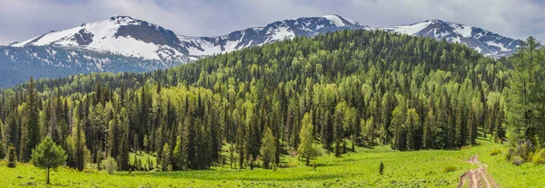 春の山の中で 緑の牧草地や森林や雪のピークキャップ パノラマの自然 — ストック写真