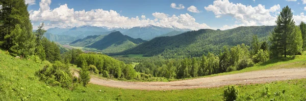 Utsikt Över Bergsdalen Från Passet Sommargröna Träd Morgondimma — Stockfoto