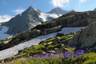 Dağlarda bahar, çiçekler ve kar