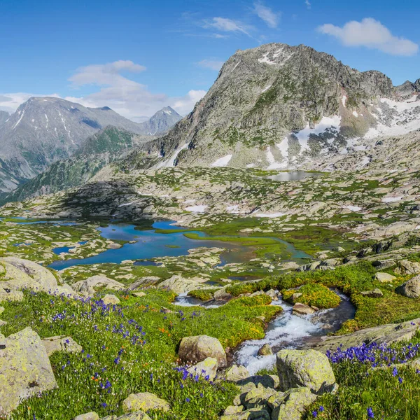 阿尔泰山脉的一个风景如画的山谷 青翠的高山草甸 雪和湖泊 — 图库照片