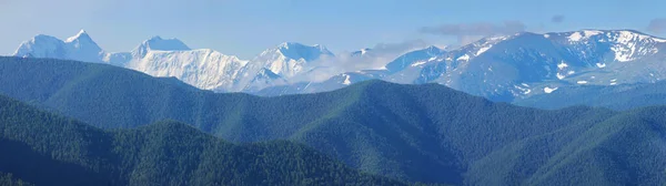 Mount Belukha Highest Point Altai Siberia Snowy Ridge Summer Greenery — Stock Photo, Image