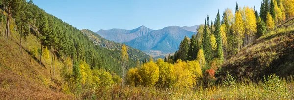 パノラマビュー サヤン山の中で晴れた秋の日 青い霞の中の木々や頂の秋の色 — ストック写真