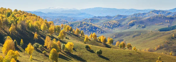 Őszi Panoráma Sárga Fák Domboldalon Kék Ködben — Stock Fotó