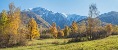 Panoramik sonbahar manzarası, güneşli bir gün. Çayır, ormanlar ve karla kaplı tepeler. 