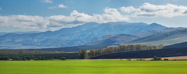 Tágas Hegyi Völgy Zöld Mező Vidéki Táj Panorámás Kilátás — Stock Fotó