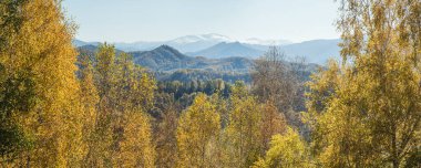 Sonbahar manzarası. Yamaçta sarı ağaçlar, tepede mavi bir sis.
