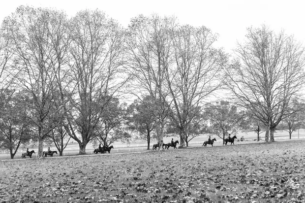 秋天赛马骑马者去马厩在风景训练风景与树干燥叶子散落在田野上 — 图库照片