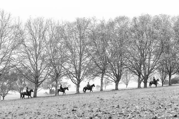 Jinetes Caballos Carrera Otoño Que Van Establos Paisaje Entrenamiento Escénico —  Fotos de Stock