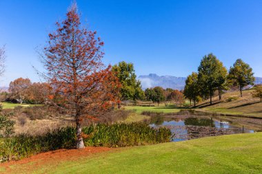 Ağaçlar golf sahası Peyzaj Sonbahar sonbahar renkleri ön Drakensberg Castle dağ vadisinde bir doğal seyahat spor tatil beldesi su..