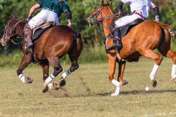 ポロ競技の選手の馬 Ponys ゲーム アクション馬術スポーツ — ストック写真