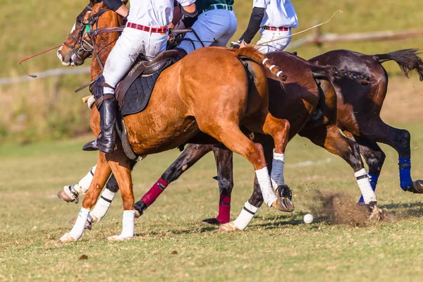 ポロ競技の選手の馬 Ponys ゲーム アクション馬術スポーツ — ストック写真