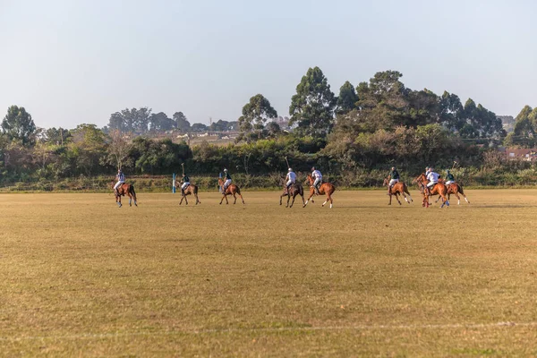 ポロ競技の選手の馬 Ponys ゲーム アクション馬術スポーツ — ストック写真
