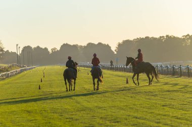 Şafak çim pistte yarış atları jockeys kontrast eğitim çalışır.