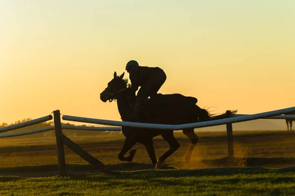 Race Horse Jockey Sylwetki Szkolenia Działa Piaskowym Świcie Innych Jeźdźców — Zdjęcie stockowe