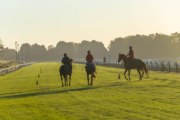 Rennpferde Jockeys Silhouette Trainingsläufe Auf Grasbahn Der Morgendämmerung — Stockfoto