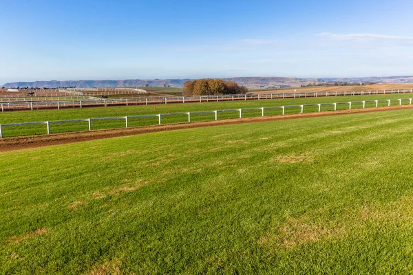 Race Horse Grass Sand Training Track Looking Long Straight White — Stock Photo, Image