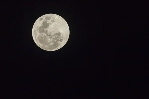 Pleine Lune Avec Visuel Clair Des Détails Planète Dans Ciel — Photo