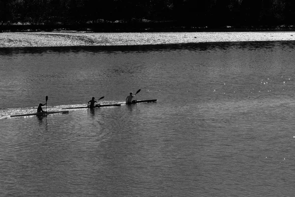 Atletas Remadores Piragüismo Mañana Remar Practicar Aguas Cristalinas Río Con —  Fotos de Stock