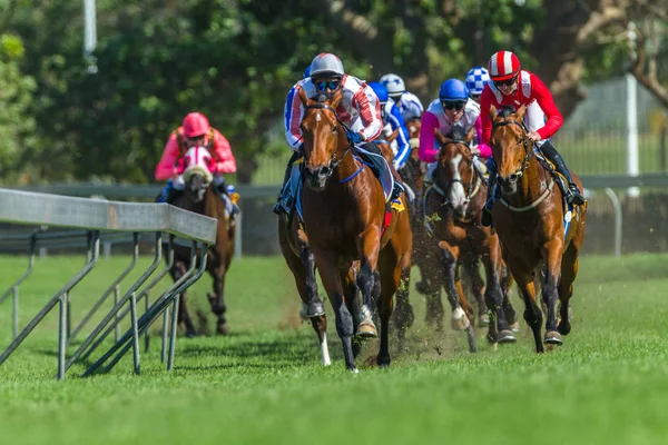 Carrera Caballo Cabeza Cuello Estribos Parpadeos Cerca Pista Carreras — Foto de Stock