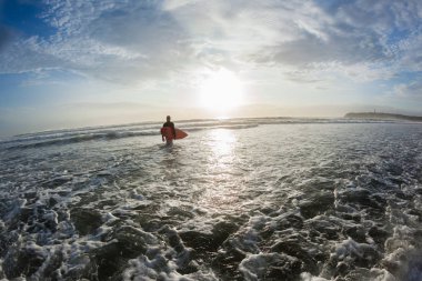 Fotoğraf beach okyanus giriş sabah dalgalar sörf arka gidiş sörfçü kontrast.