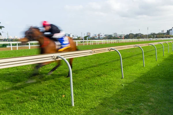 Rennpferd Jockey Rennen Bewegungsgeschwindigkeit Verschwimmen Auf Der Strecke — Stockfoto