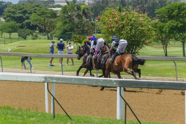 Caballos Carrera Saliendo Las Puertas Salida — Foto de Stock