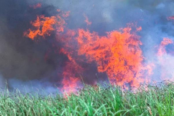 Llamas Fuego Ardiendo Hacia Cielo Con Escombros Aire Libre Cultivos — Foto de Stock