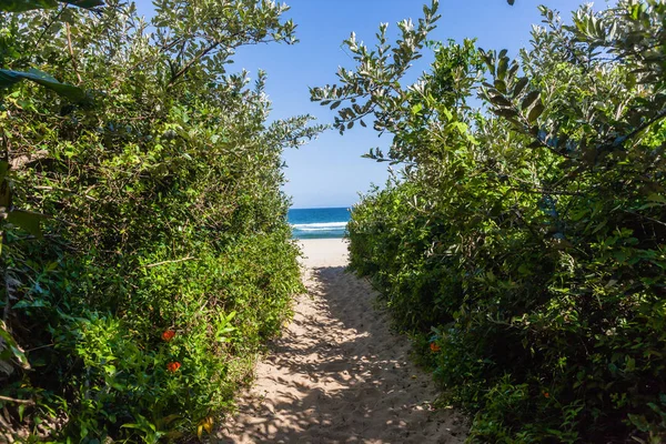 Strand Schmaler Wandersandweg Durch Küstenvegetation Richtung Weißer Sand Und Blaues — Stockfoto