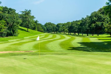 Golf Sahası yeşil flagstick delik fairway ağaçlar doğal doğa rezerv coğrafi rota