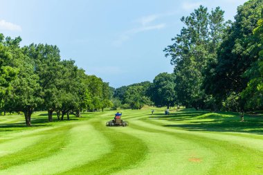 Golf Sahası delik oyuncular çim biçme makinesi operatörü kesme çim doğal yaz coğrafi rota.
