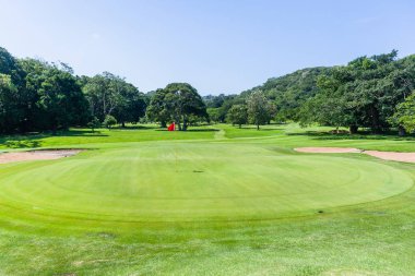 Golf Sahası delik flagstick yeşil ağaçları doğal yaz coğrafi rota