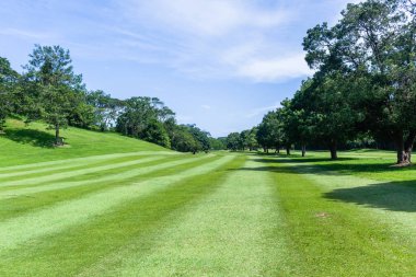 Golf Sahası delik fairway ağaçlar prestine flagstick yeşil doğal yaz coğrafi rota doğru