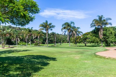 Golf Sahası delik flagsticks Yeşiller palmiye ağaçları doğal yaz coğrafi rota