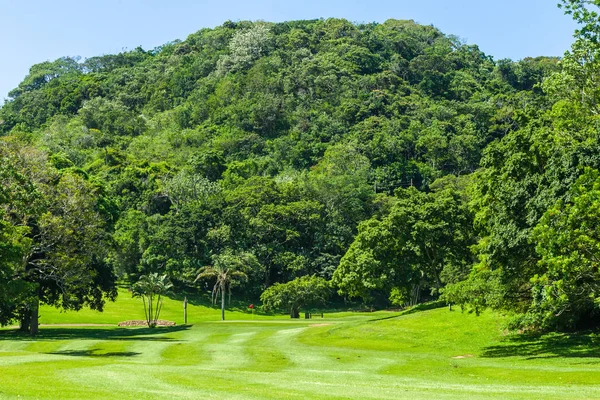 ゴルフコース ホール グリーン ドッグレッグ木風光明媚な夏海岸コース — ストック写真