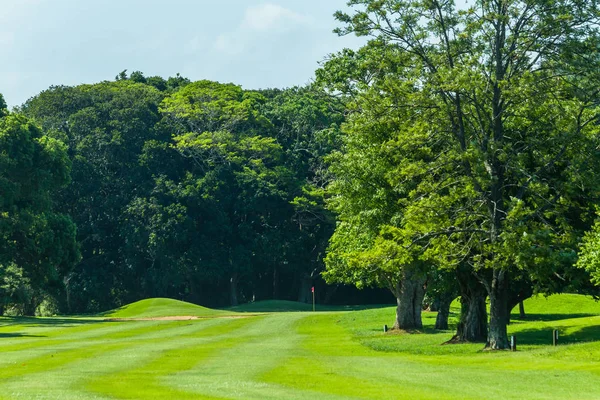 Golf course fairway with trees to hole flagstick green summer landscape.