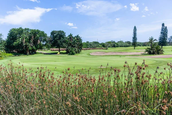 Pole Golfowe Flagstick Zielone Lato Malowniczych Przybrzeżnych Dołków — Zdjęcie stockowe