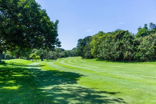 Pole Golfowe Wąskie Fairway Poprzez Drzew Obu Stronach Dołków Flagstick — Zdjęcie stockowe