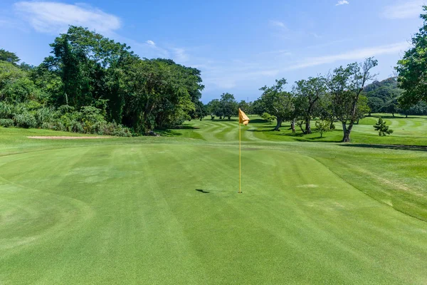 Terrain Golf Étroit Fairway Travers Les Arbres Des Deux Côtés — Photo