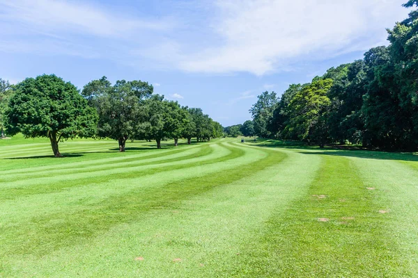 Golf Sahası Yeşil Çimen Doğal Yaz Coğrafi Rota — Stok fotoğraf
