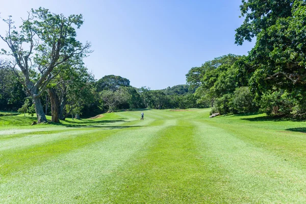 Golfspieler Fuß Richtung Loch Auf Schmalem Fairway Durch Bäume Auf — Stockfoto