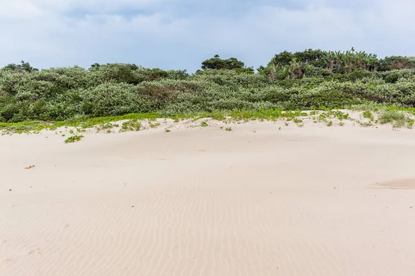 Spiaggia Sabbia Texture Vento Verso Costa Macchia Macchia Vegetale Vegetazione — Foto Stock