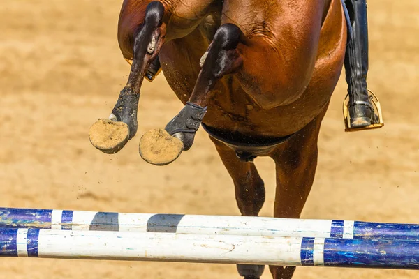 Horse Rider Saltar Primeros planos Hoofs Pies Zapatos Postes —  Fotos de Stock