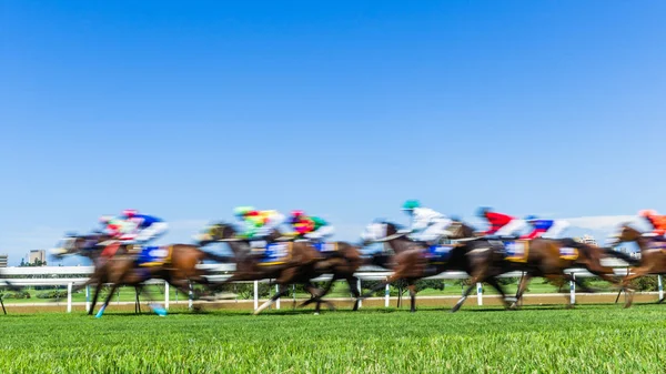 Carreras de caballos velocidad movimiento desenfoque hierba pista —  Fotos de Stock