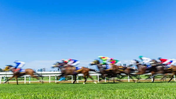 Horse Racing Speed Motion Blur Grass Track — Stock Photo, Image