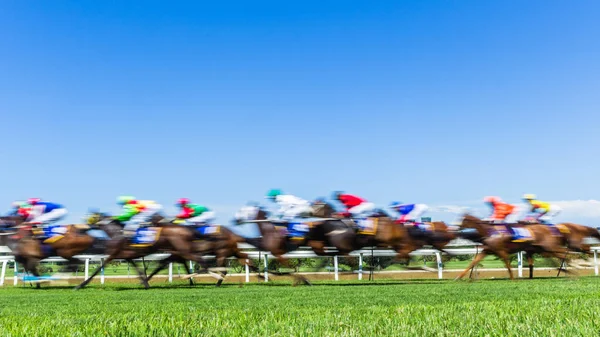 Horse Racing Speed Motion Blur Grass Track — Stok Foto