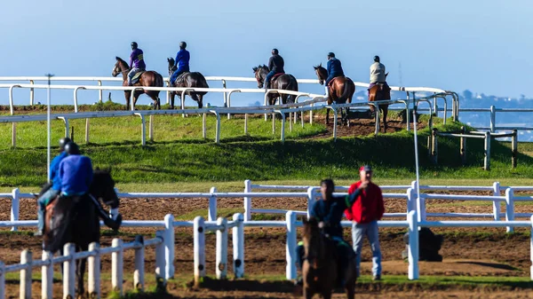 Carrera Caballos Jinetes Entrenamiento Animal Estilo de Vida — Foto de Stock